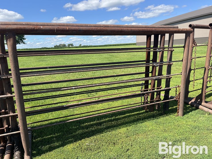 feedlot-panels-image-16