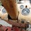 case-830-tractor-image-12