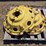 john-deere-8100-image-5