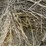 2024-mixed-grass-hay-round-bales-(bid-per-unit)-image-8
