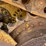 2015-caterpillar-d6k2-xl-image-24