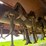 alloway-20-image-23