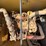 caterpillar-320fl-image-34