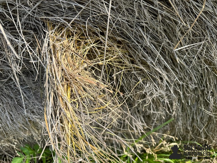 2024-mixed-grass-hay-round-bales-(bid-per-unit)-image-7