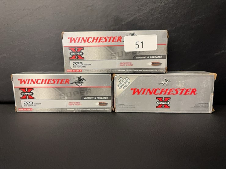 223-wssm-(ammo)-image-1