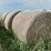 2024-mixed-grass-hay-round-bales-(bid-per-unit)-image-3