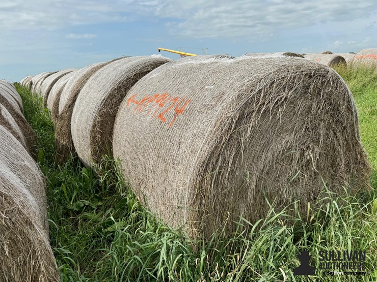 2024-mixed-grass-hay-round-bales-(bid-per-unit)-image-3