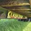 53’-tridem-container-chassis-with-triton-container--please-read-description-image-6