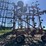 wil-rich-quad-5-image-6