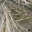 2024-mixed-grass-hay-round-bales-(bid-per-unit)-image-8