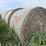 2024-mixed-grass-hay-round-bales-(bid-per-unit)-image-6