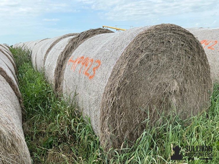 2024-mixed-grass-hay-round-bales-(bid-per-unit)-image-6