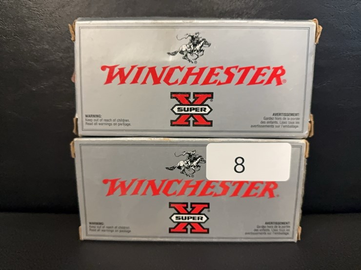 250-savage-silvertip-(ammo)-image-1