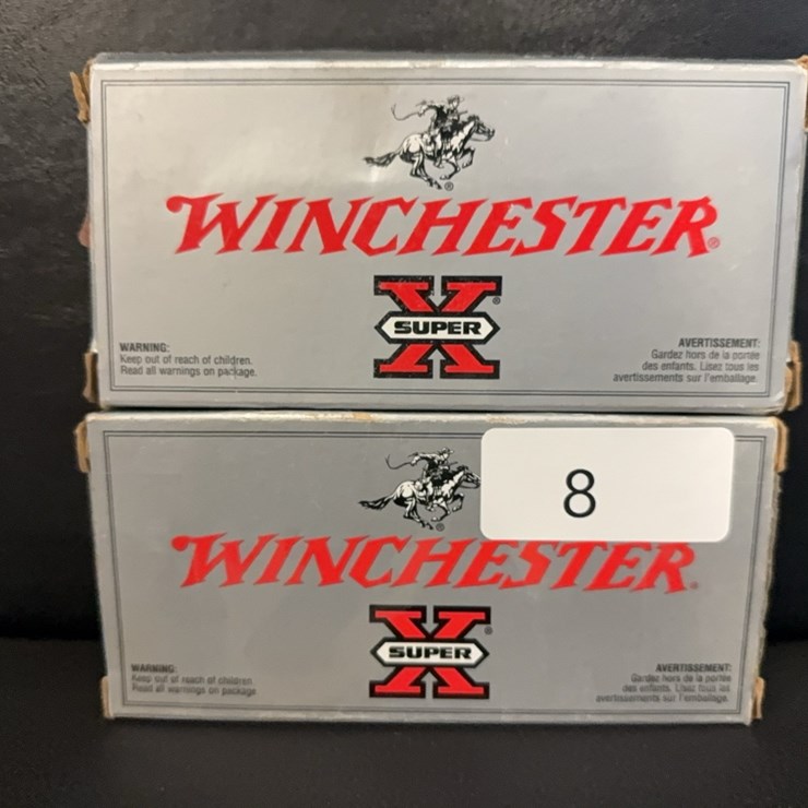 250 Savage Silvertip (Ammo)