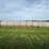 2024-mixed-grass-hay-round-bales-(bid-per-unit)-image-7