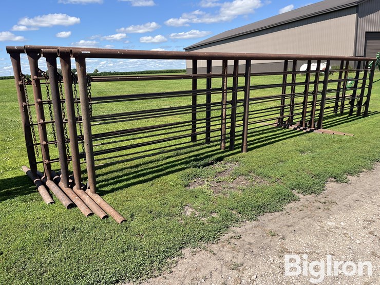 feedlot-panels-image-3