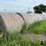 2024-mixed-grass-hay-round-bales-(bid-per-unit)-image-5