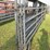 (4)-16'-tarter-pipe-gates-image-3