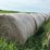 2024-mixed-grass-hay-round-bales-(bid-per-unit)-image-1