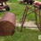 150-gallon-fuel-tank-&-stand-image-2