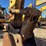 2003-kobelco-sk330-lc-image-11