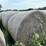 2024-mixed-grass-hay-round-bales-(bid-per-unit)-image-3