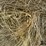 2024-mixed-grass-hay-round-bales-(bid-per-unit)-image-8