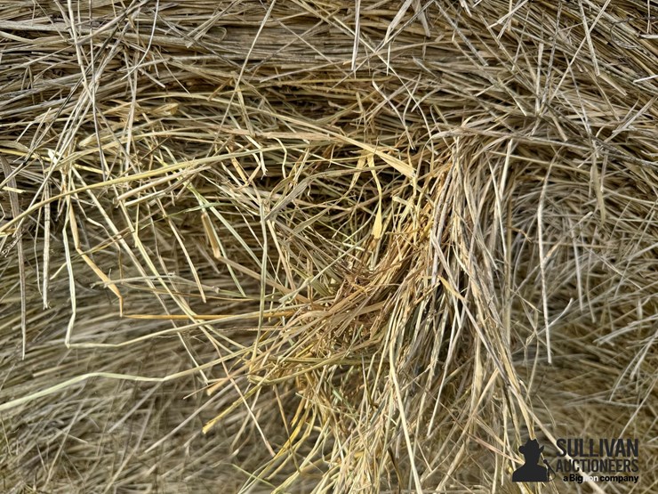 2024-mixed-grass-hay-round-bales-(bid-per-unit)-image-8