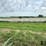 2024-mixed-grass-hay-round-bales-(bid-per-unit)-image-5