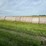 2024-mixed-grass-hay-round-bales-(bid-per-unit)-image-5