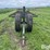 te-slaa-10-hd-image-2