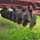 ih-490-disk,-20’,-hydraulic-fold-wings,-9.5-14-tires,-disk-scrapers,-sn:-033395-image-12