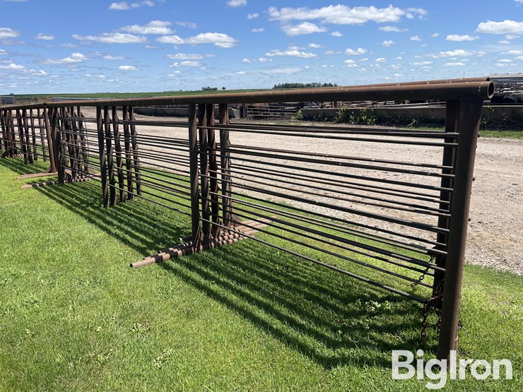 feedlot-panels-image-5