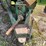 john-deere-1210a-image-26