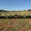 john-deere-7100-image-2