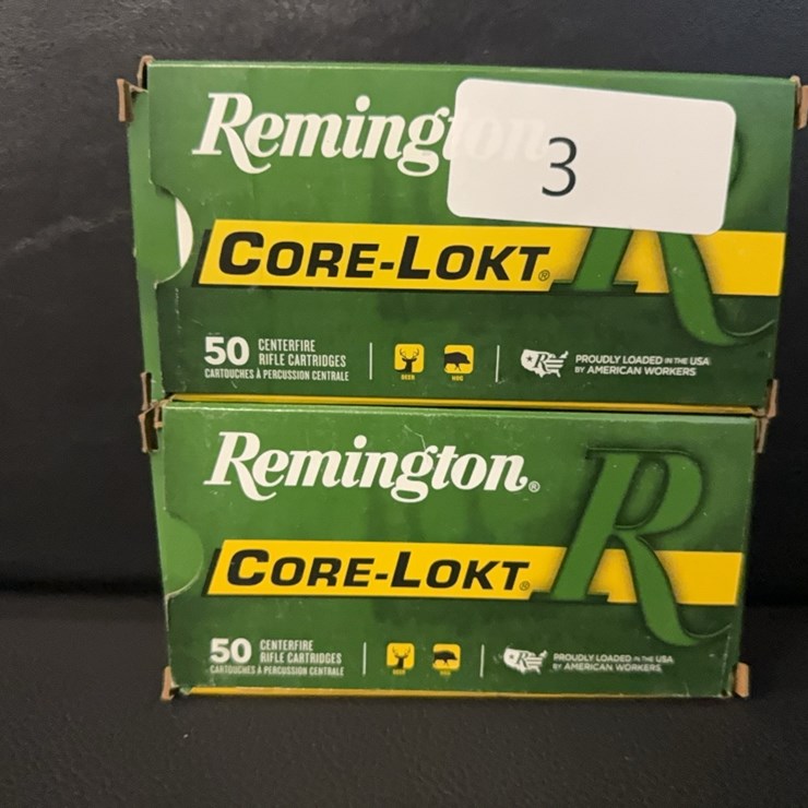 25-20 Win (Ammo)