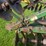 john-deere-h1120-image-18