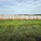2024-mixed-grass-hay-round-bales-(bid-per-unit)-image-9