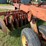 krause-1480-image-12