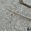 antique-spoon-&-scythe-hand-tools-image-10