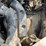 2005-ford-f250-xl-image-69