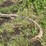 john-deere-1600-image-3