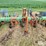 glencoe-8r30-row-crop-cultivator-image-16