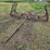 approx-20’-coil-tine-pony-cart,-3-bar-image-2