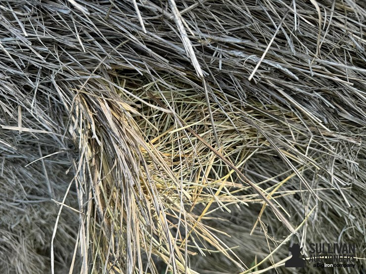 2024-mixed-grass-hay-round-bales-(bid-per-unit)-image-7