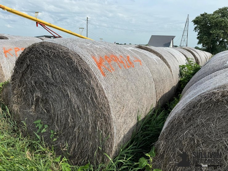 2024-mixed-grass-hay-round-bales-(bid-per-unit)-image-6