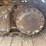 2016-caterpillar-325fl-image-10