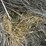 2024-mixed-grass-hay-round-bales-(bid-per-unit)-image-7