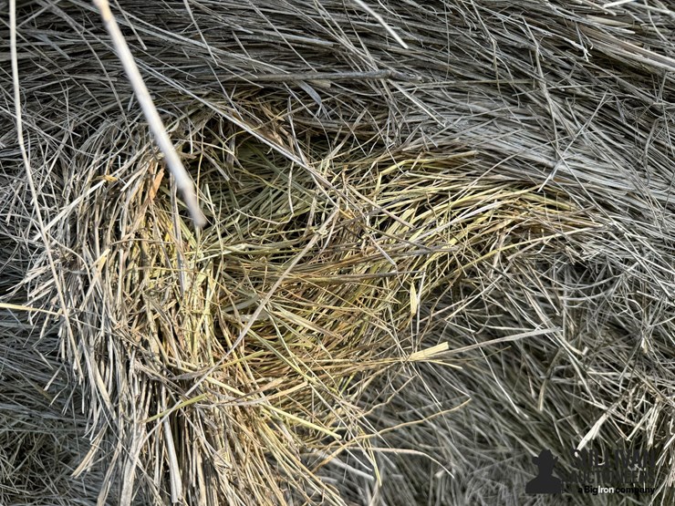 2024-mixed-grass-hay-round-bales-(bid-per-unit)-image-7