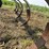 glencoe-soil-saver-image-9